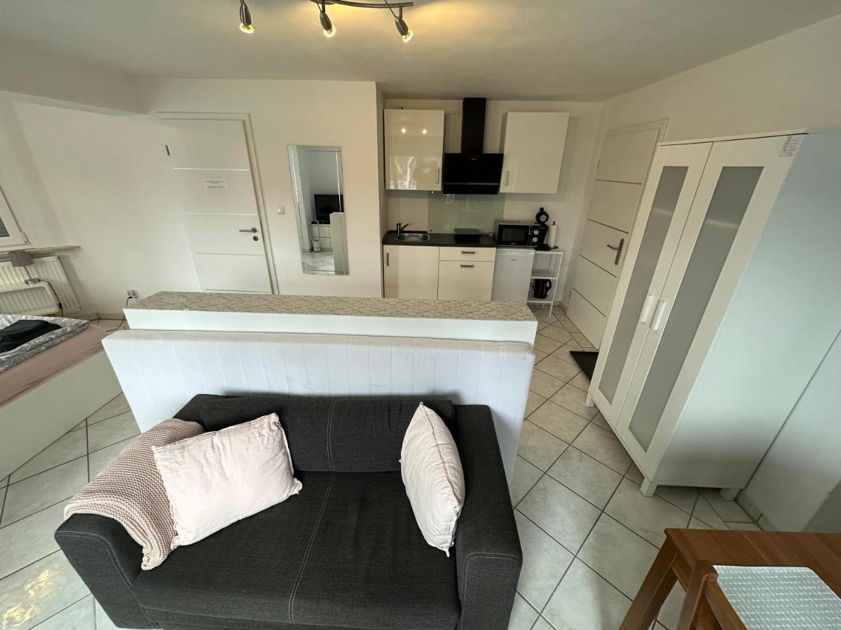 באד אבאך Apartment Donaublick מראה חיצוני תמונה