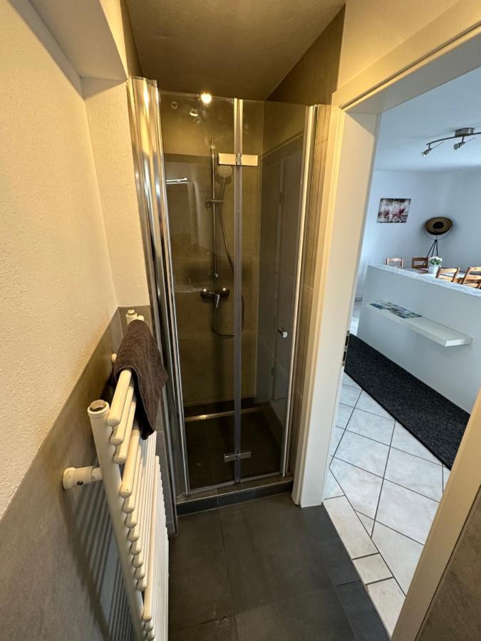 באד אבאך Apartment Donaublick מראה חיצוני תמונה